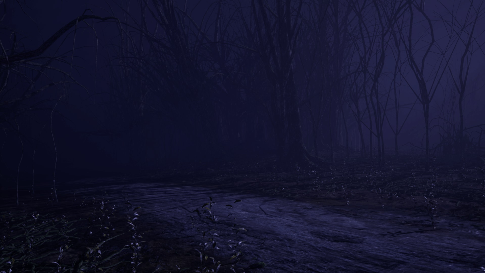 Dark Forest In Environments Ue Marketplace