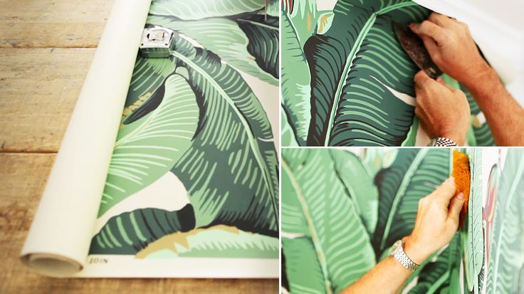 How to Hang Wallpaper Starring the Iconic Banana Leaf PatternBananas