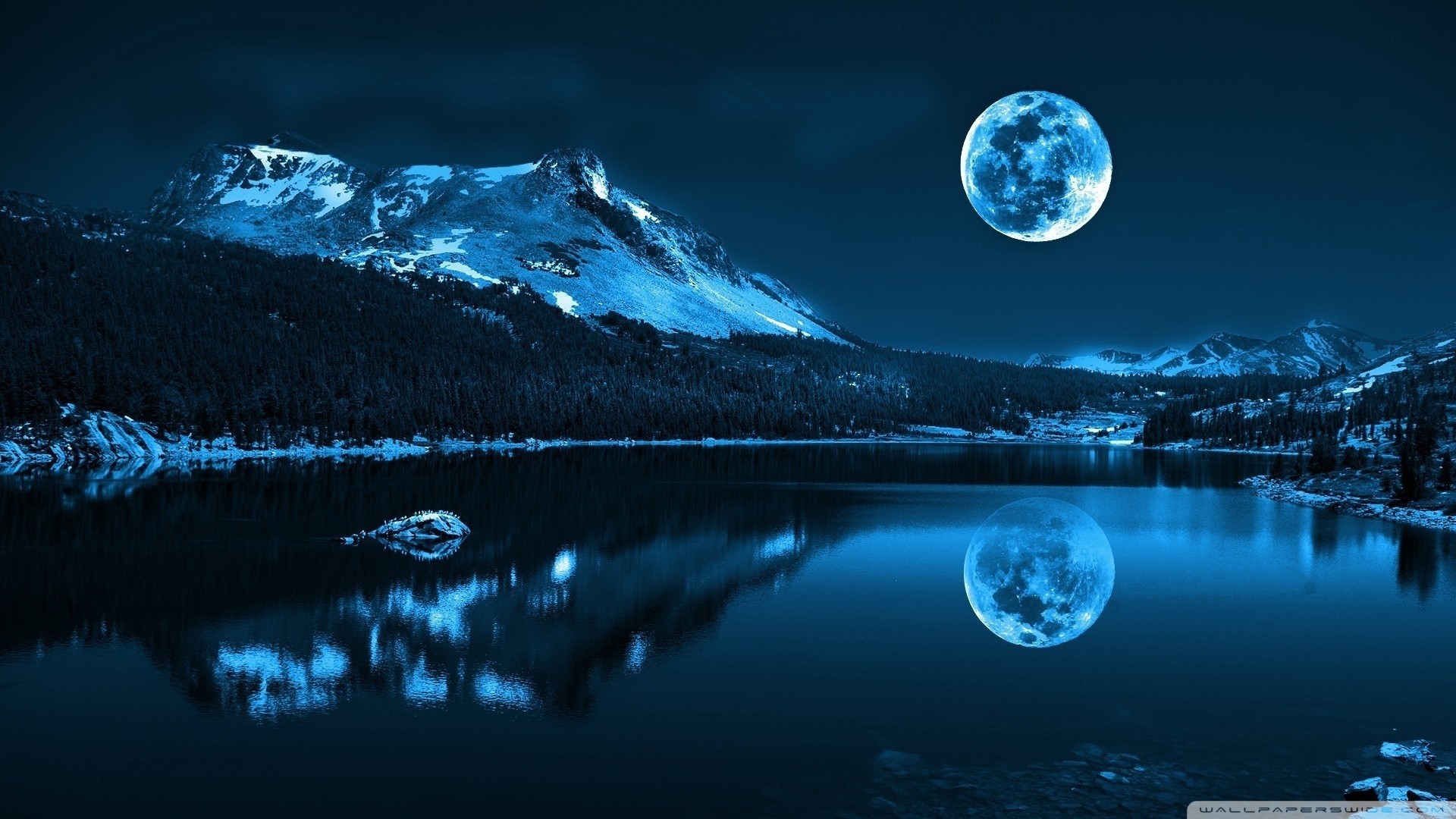 Moonlight Night Wallpaper Image