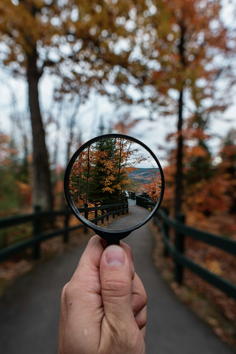 Magnifying Glass Picture Wallpaper