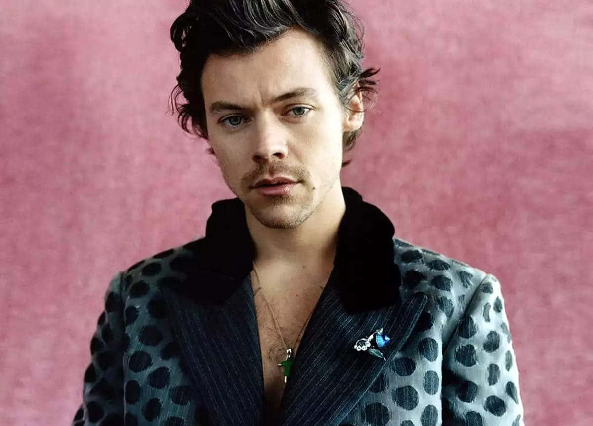 Harry Styles Laptop Wallpaper