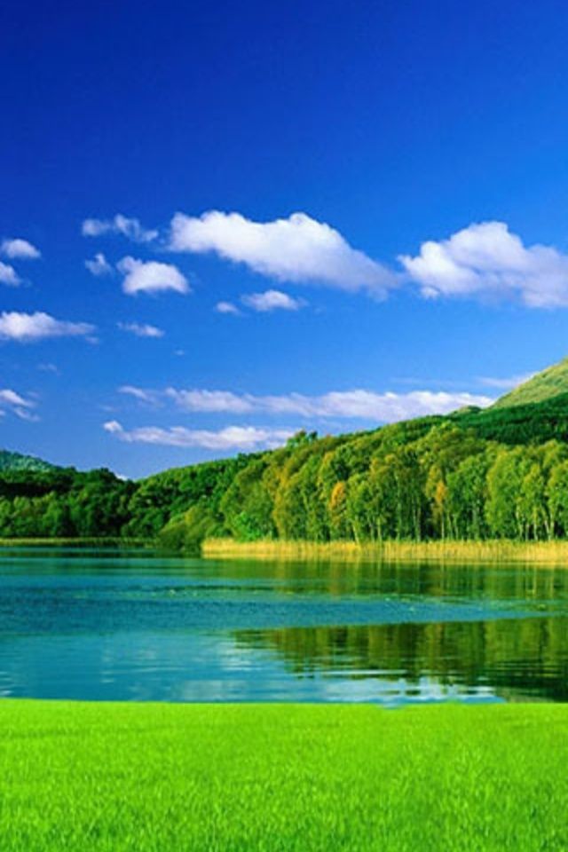 Iwallpaper Beautiful Green Nature Lake And Forest iPhone