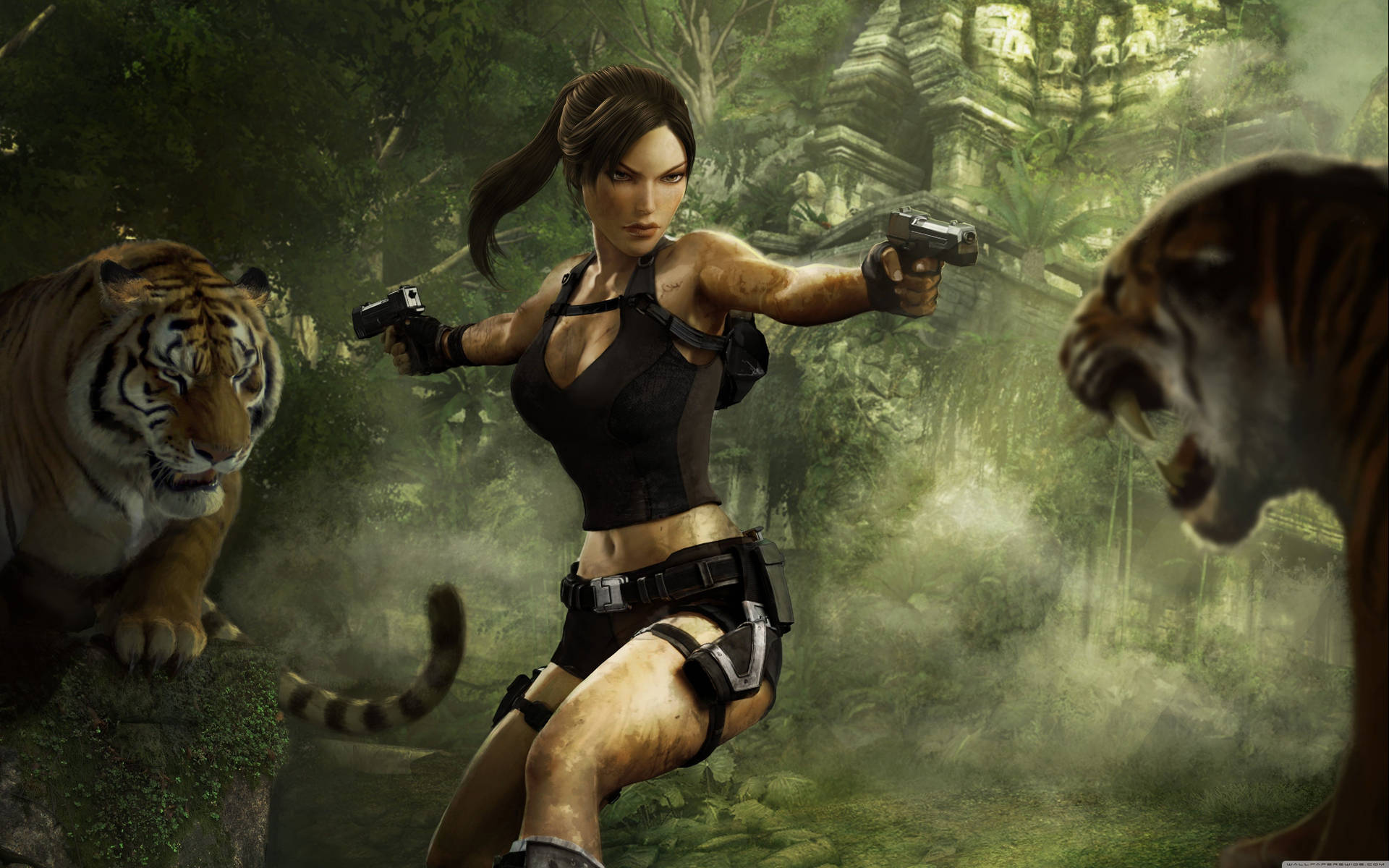 Tomb Raider Wallpaper