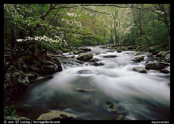National Parks Eastern Hardwoods Great Smoky Mountains Grsm20382