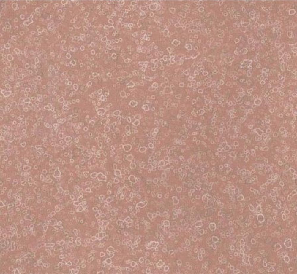 Wallpaper Gramercy Pink Gold Circles on Pink Asian eBay