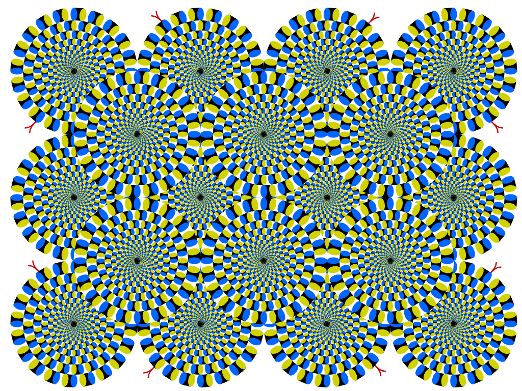 Akiyoshi S Illusion