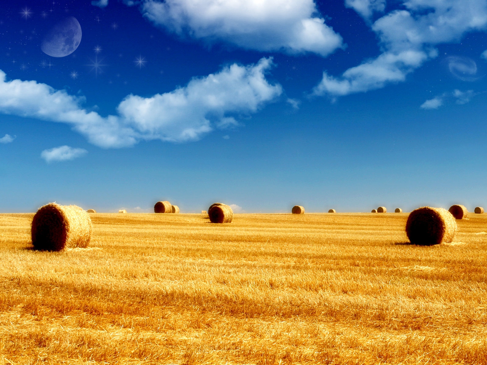 Summer Wallpaper HD For Desktop And Background