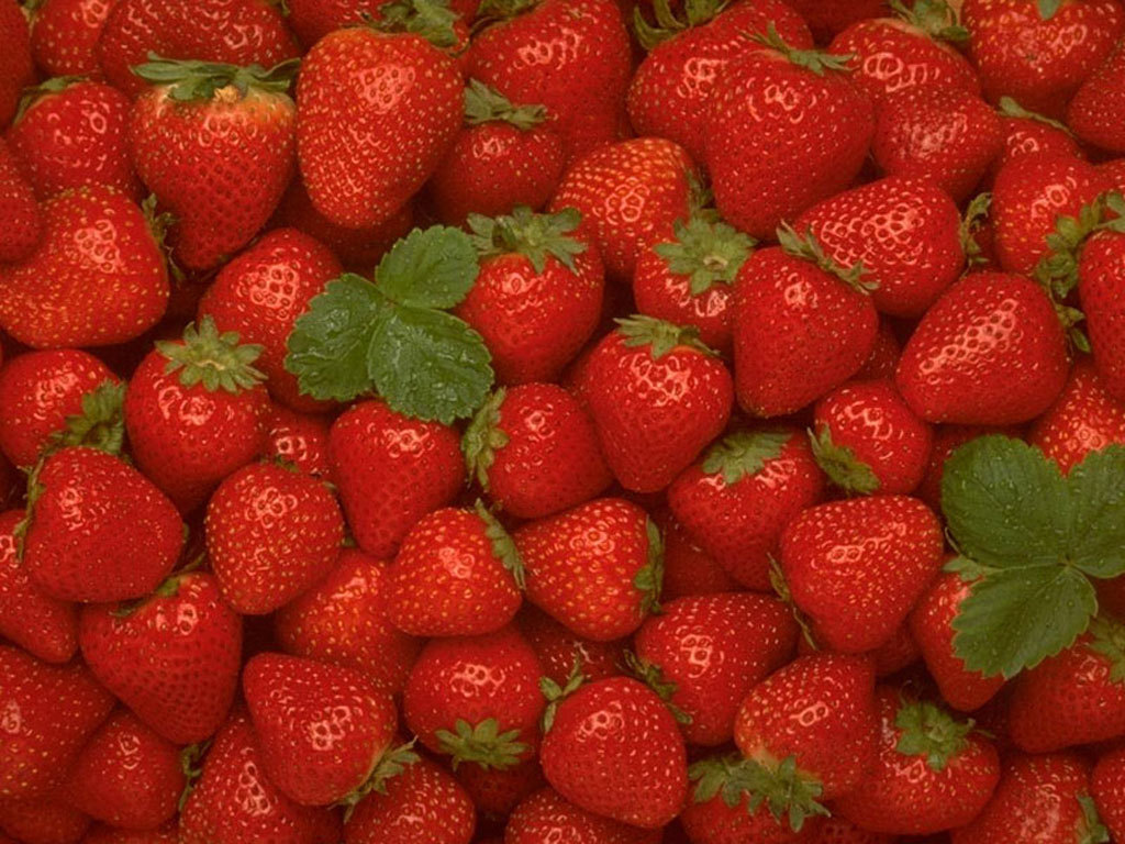 Strawberry Wallpaper   Fruit Wallpaper 6102241 1024x768
