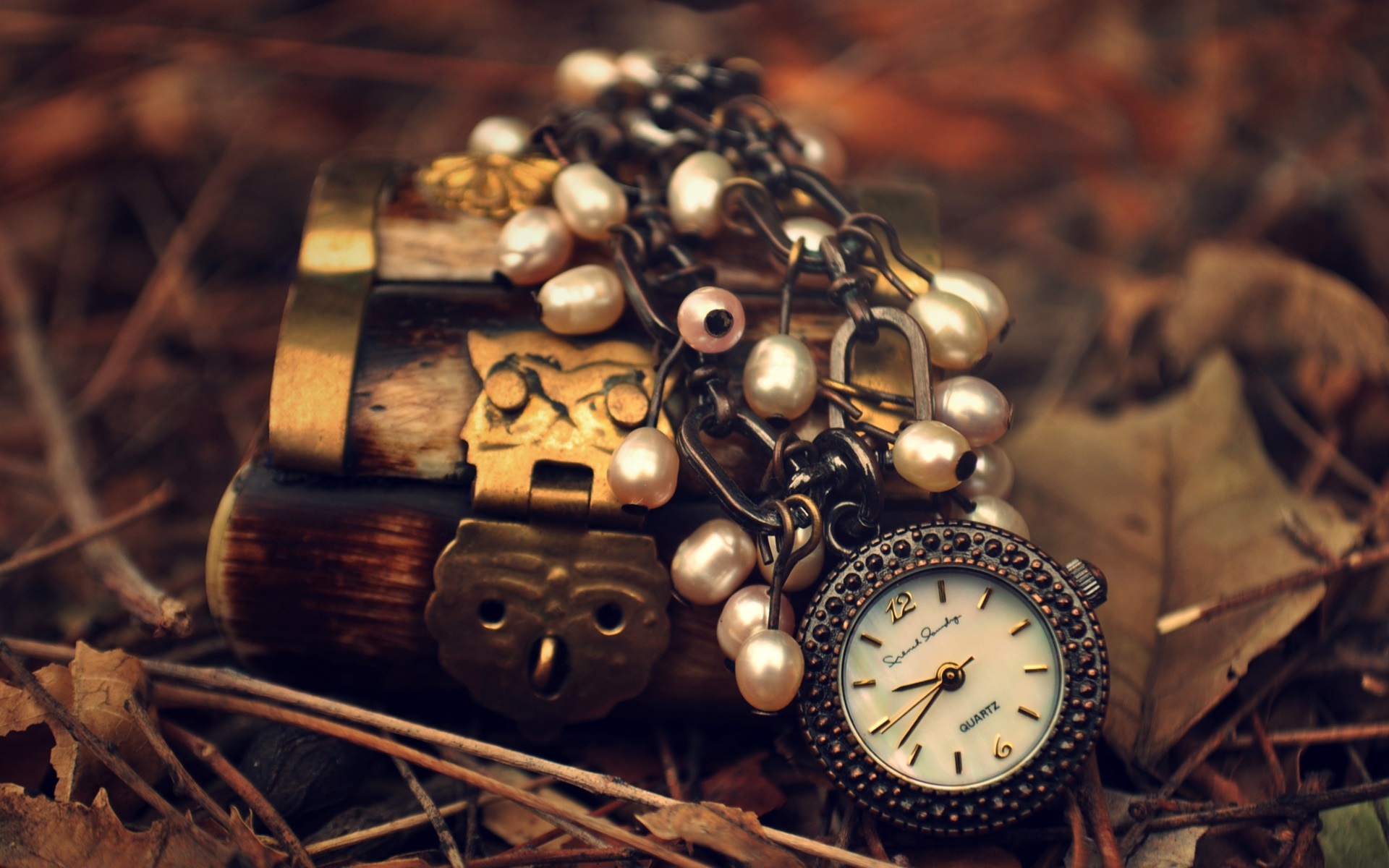 Wallpaper Watch Pendant Lock Leaves HD Picture Image
