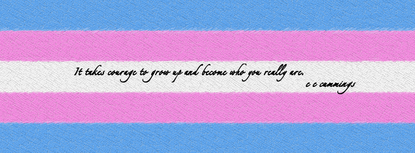 Cover Transgender Flag By Kabit
