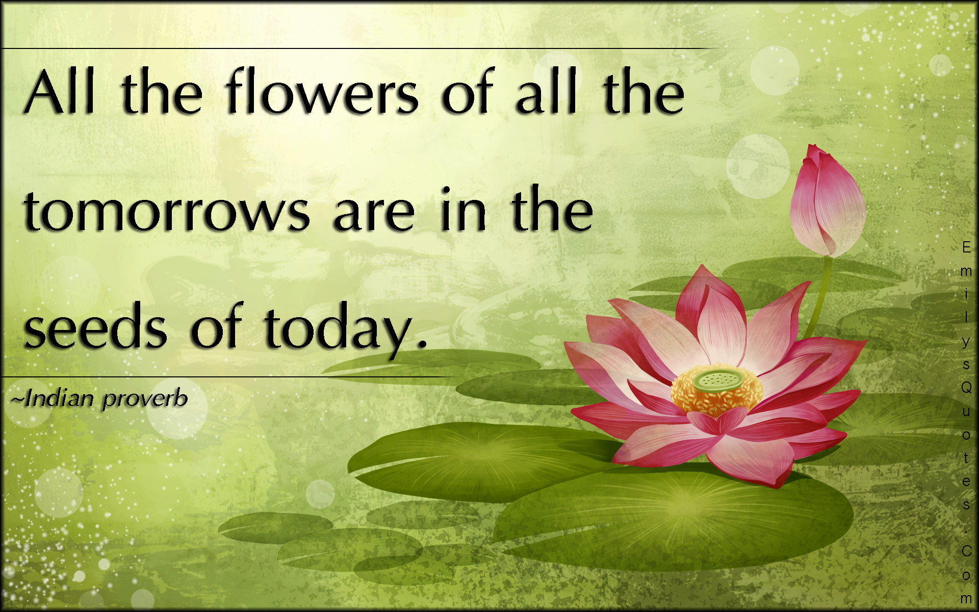 Inspiring Flower Quotes At Joan Kneeland Wallpaper