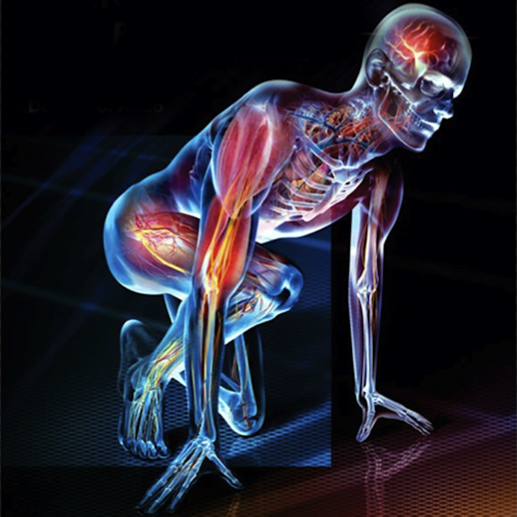 Human anatomy and physiology study guide wwwoustormcrowdcom