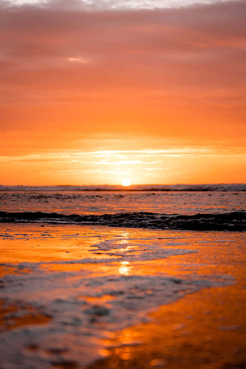 Ocean Beach Wallpaper