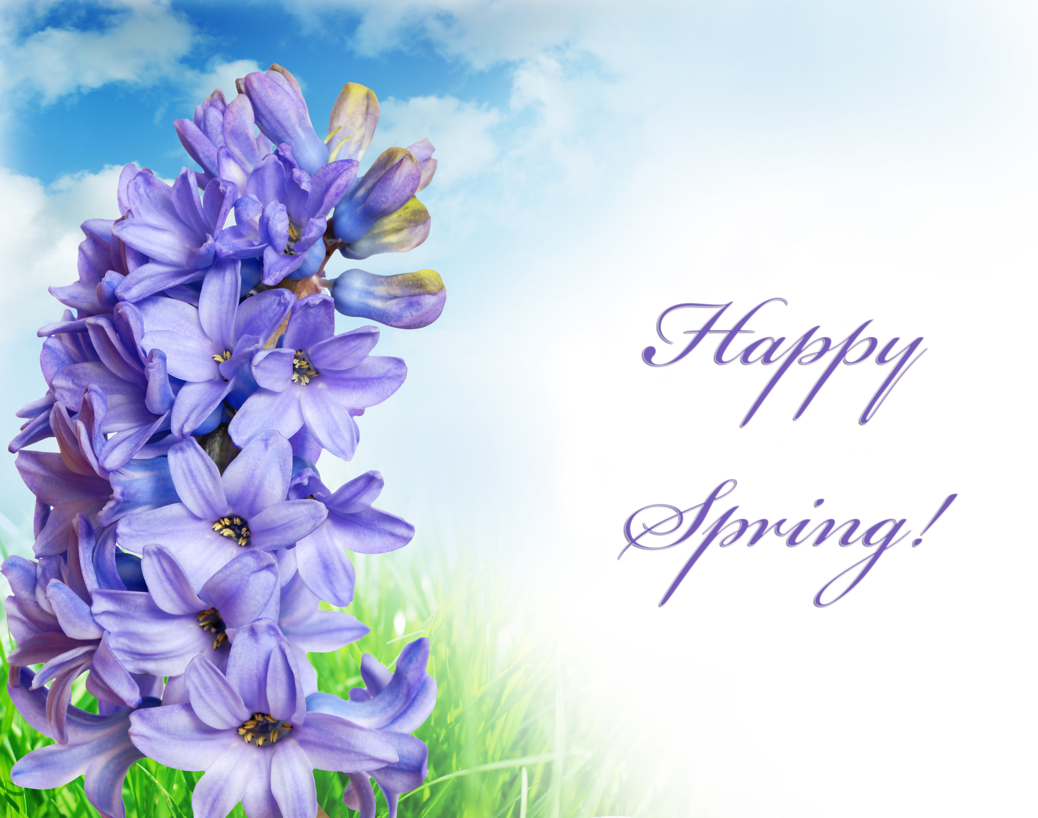 Happy Spring Background Gallery Yopriceville High Quality