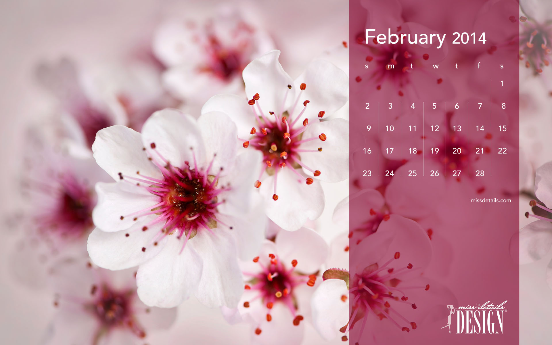 Inspiring February Desktop Calendar From Missdetails
