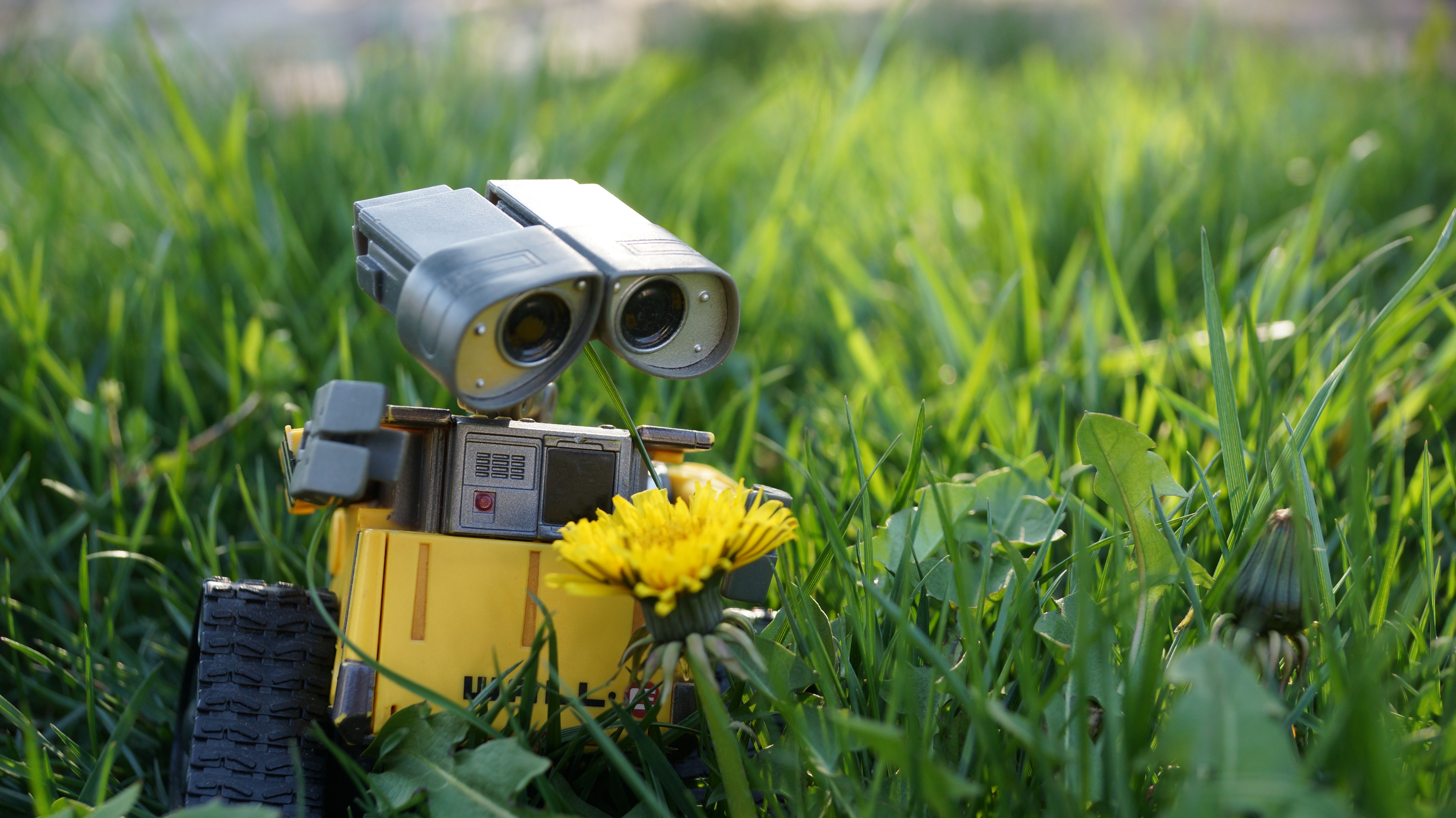 Wall E Robot Wallpaper HD Movies 4k Image Photos And Picture