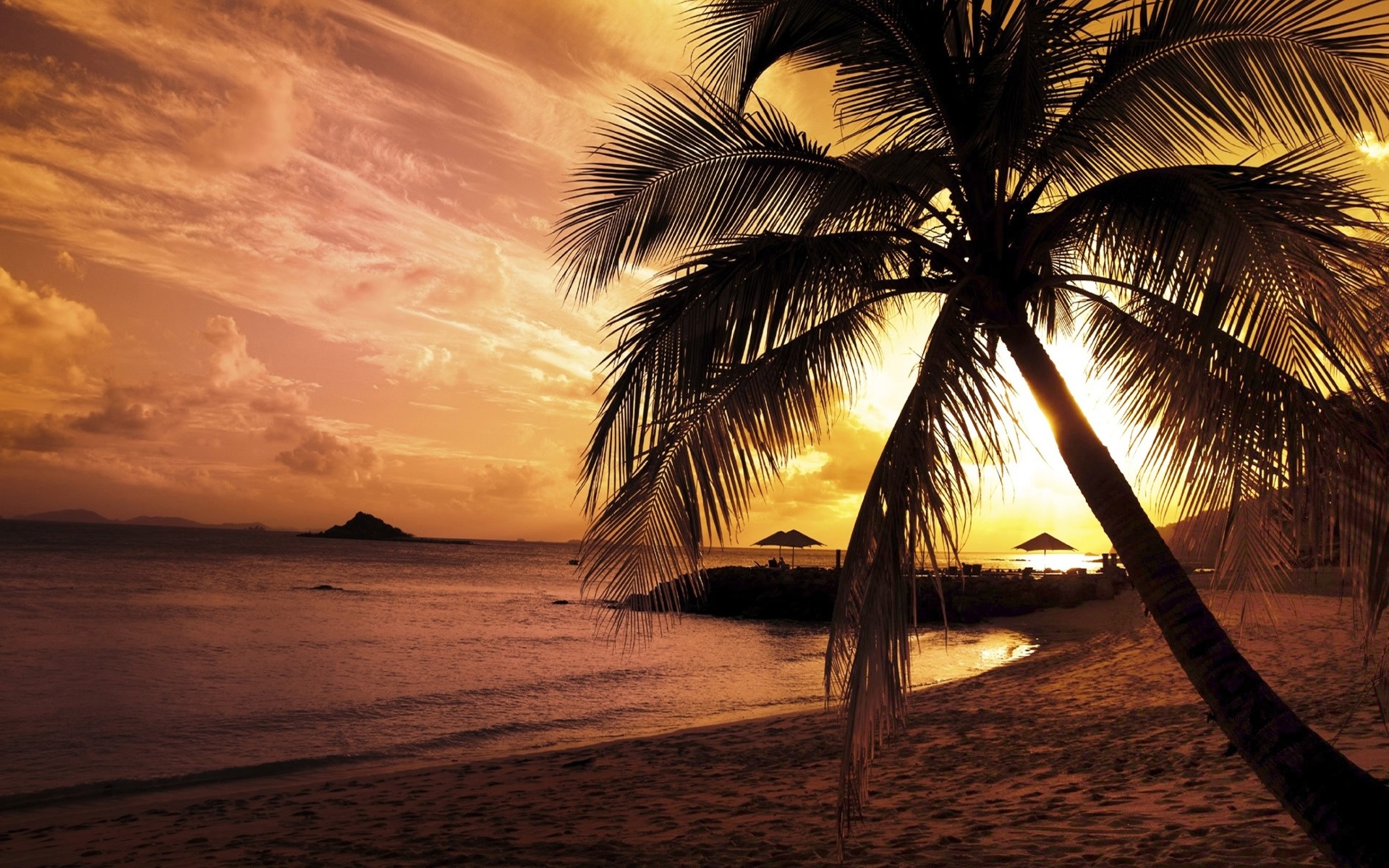 Palm Trees Sunset HD Wallpaper