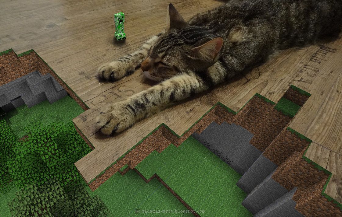 Minecraft X Cat Video Game Fun Wallpaper