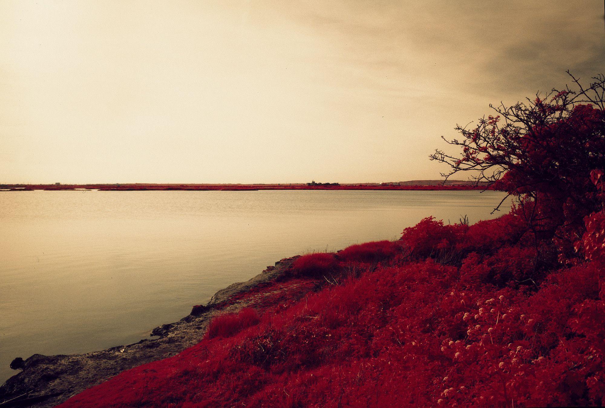 Red Nature Wallpaper