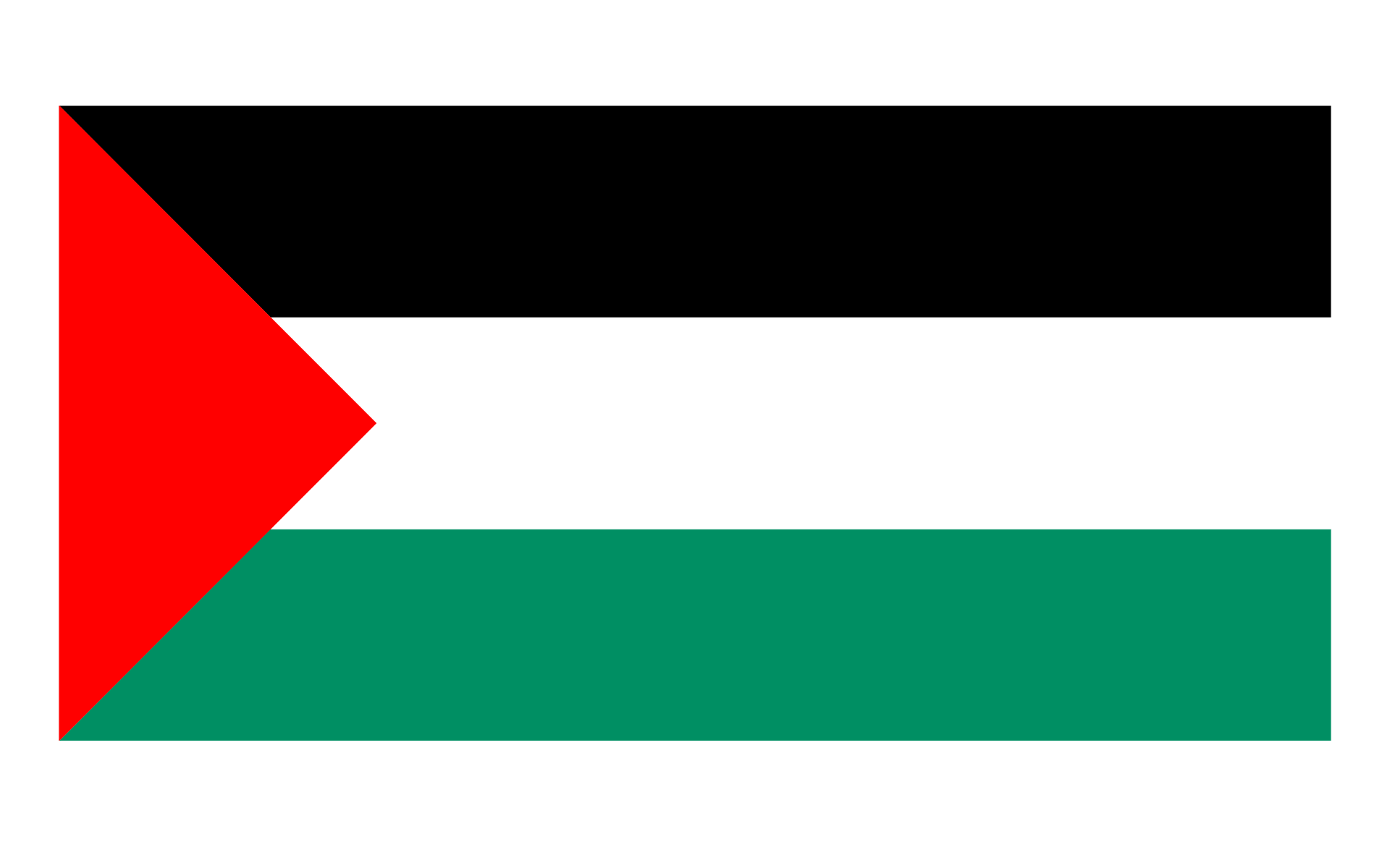 Flag Of Palestine Wallpaper