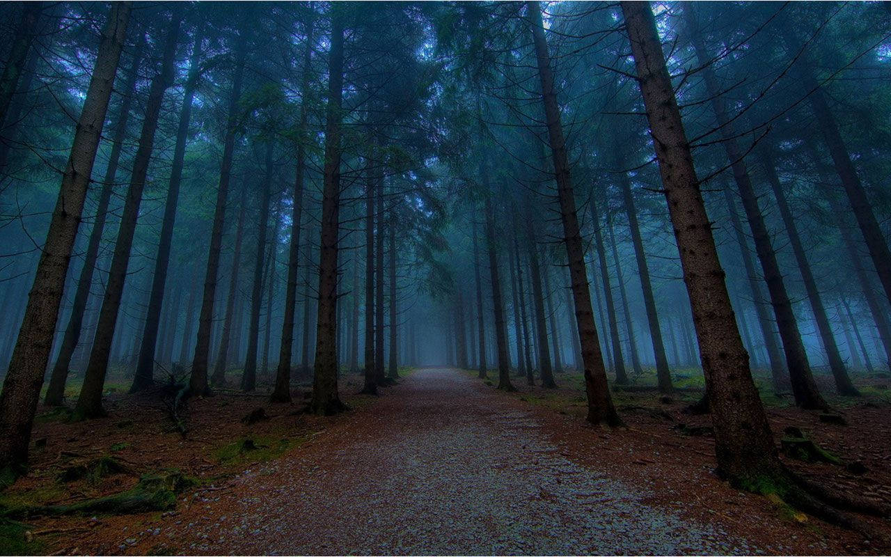 Aesthetic Landscape Wallpaper