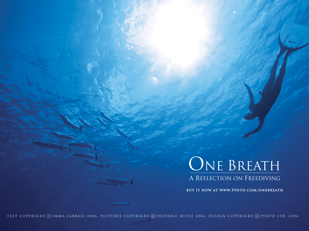Diving Wallpaper