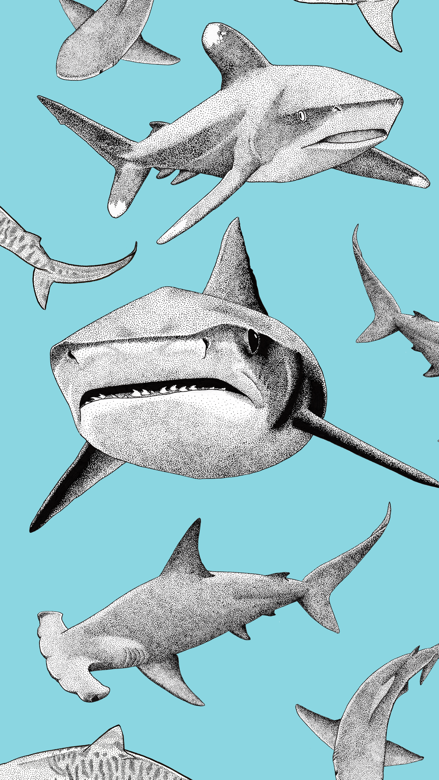 Shark Art Backgound Background