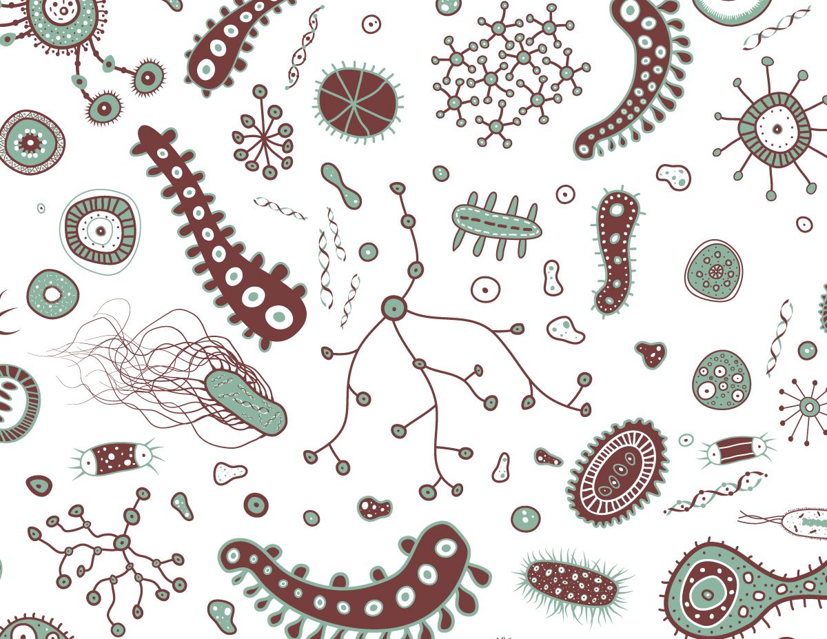 Abela Perry On Microbiology Wallpaper Bacteria Virus