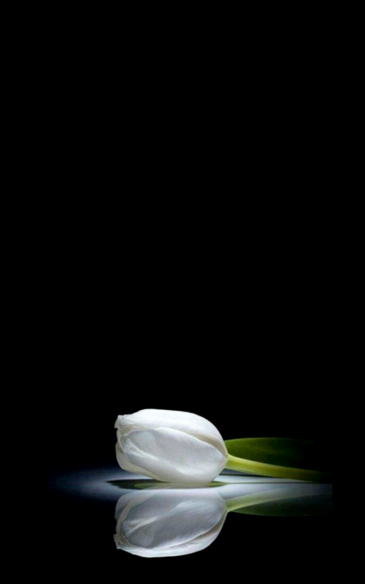 Simple Pleasures Beautiful Flowers Wallpaper Flower Background
