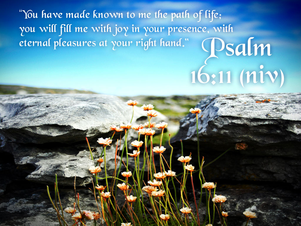 Psalm 1611   Path Of Life Wallpaper   Christian Wallpapers and 1024x768