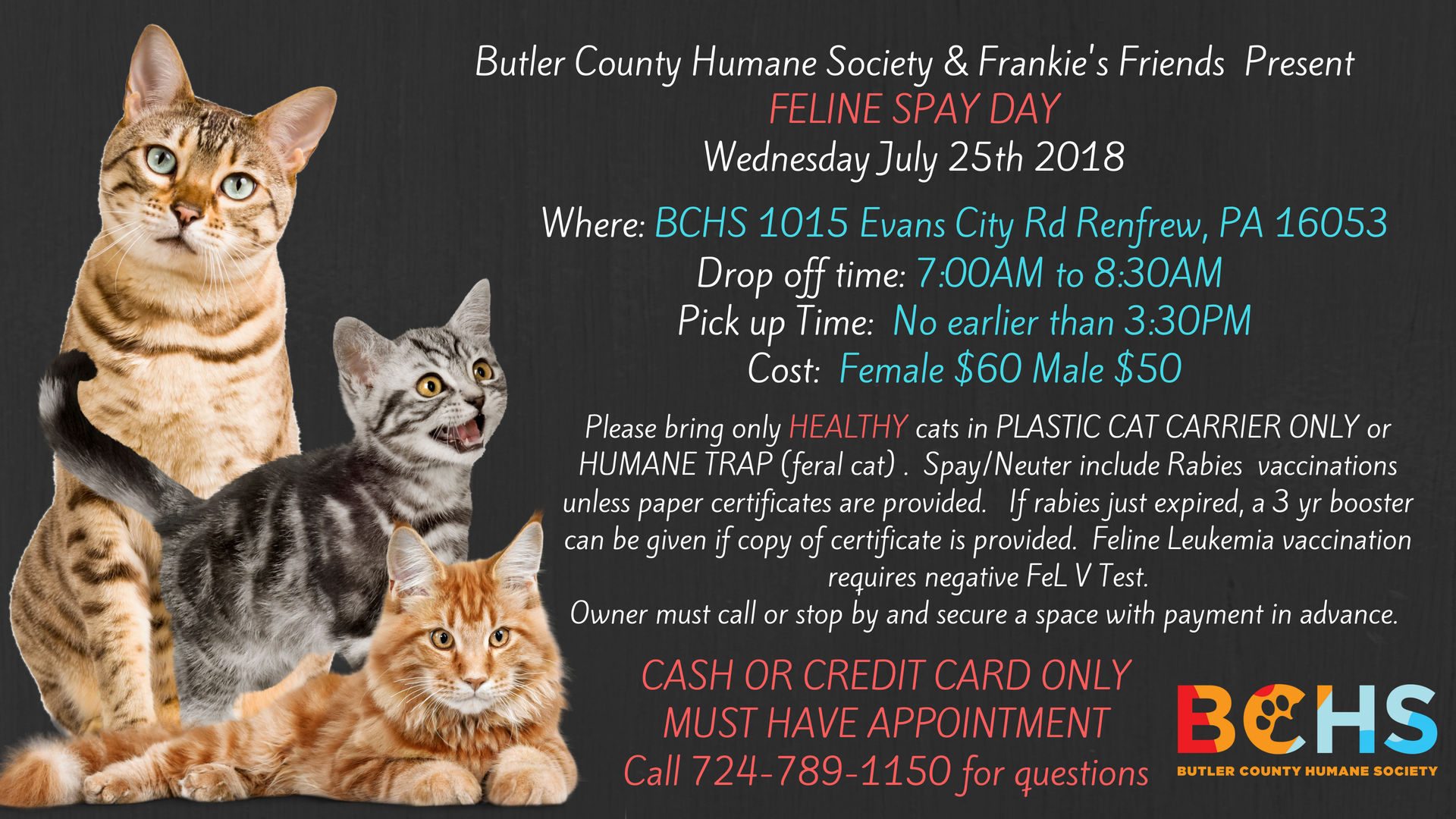 Bchs Cat Spay Day Butler County Humane Society