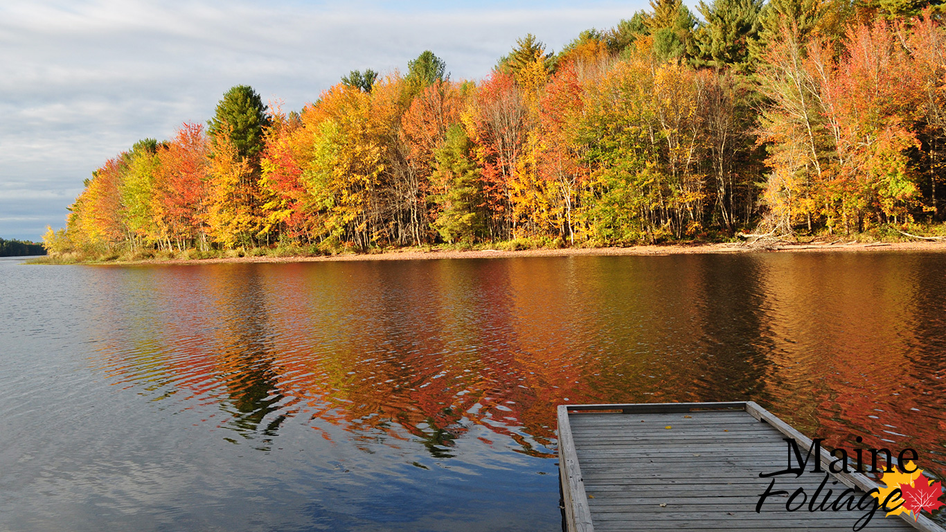 Mainefoliage Photo Gallery Foliage Wallpaper