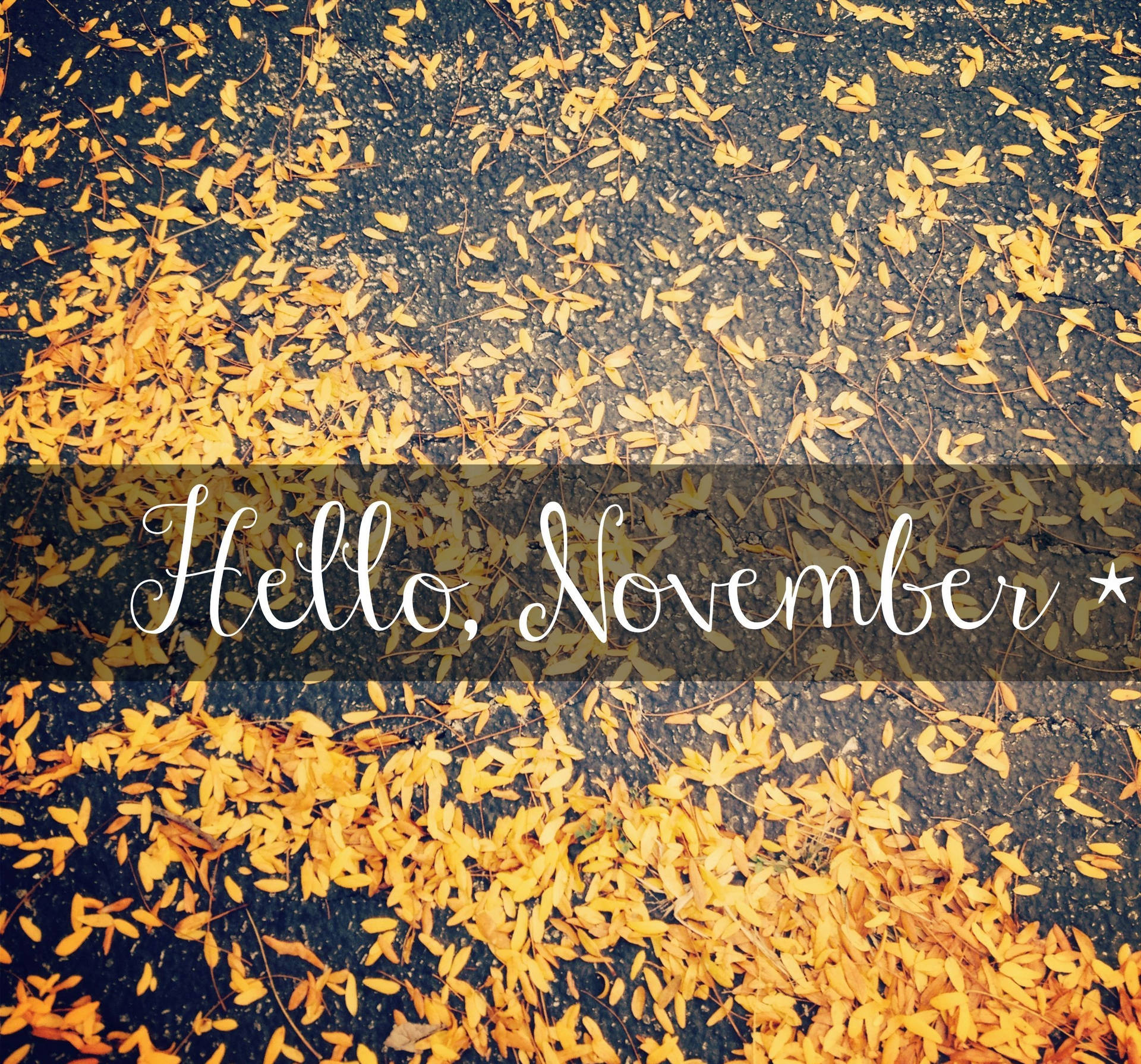 November iPhone Wallpaper