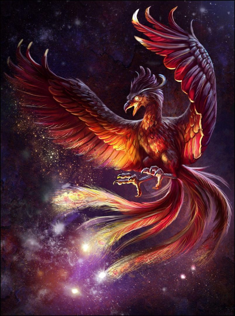 Phoenix Live Wallpaper APK for Android Download