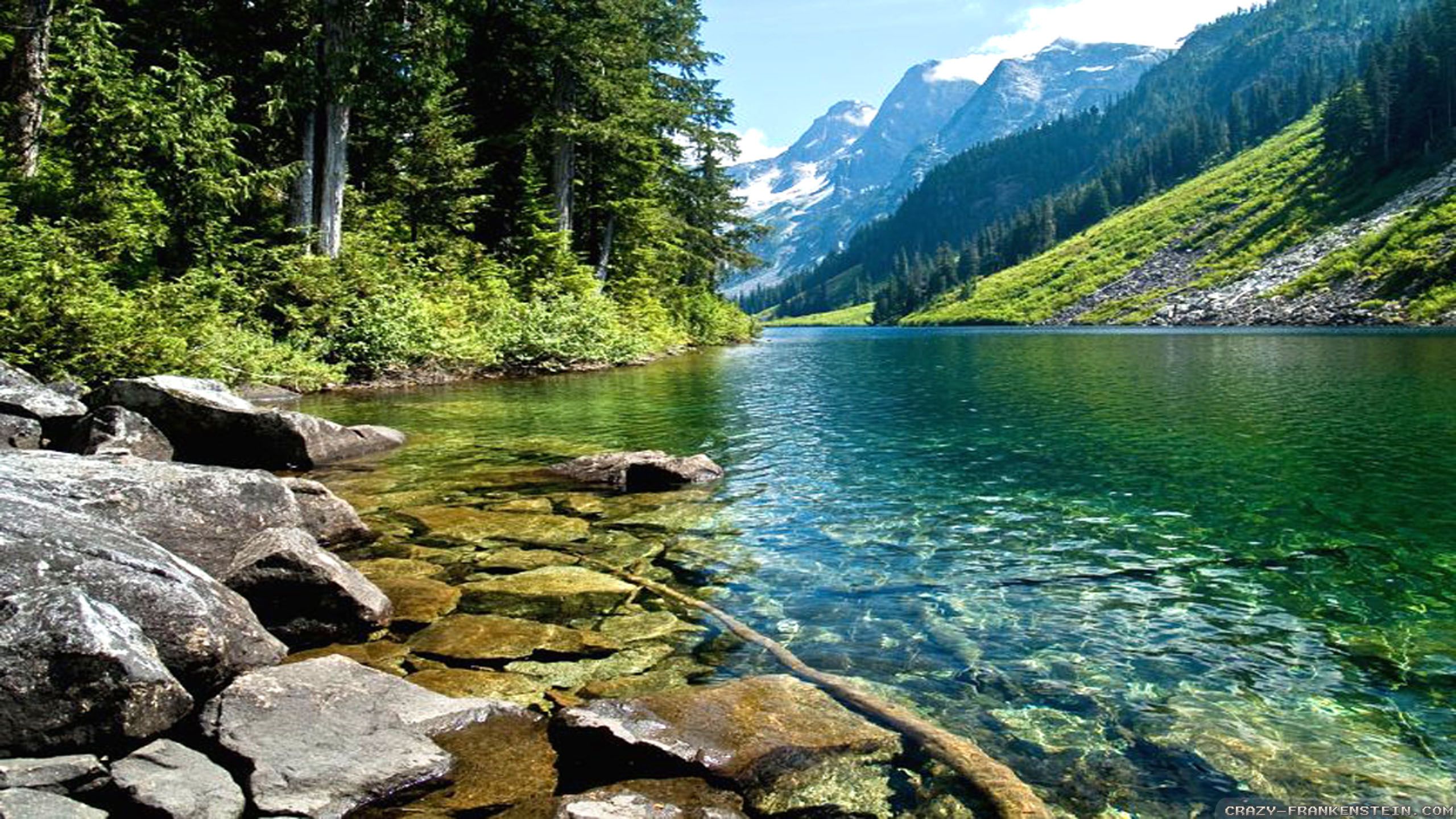 Nature Wallpaper On