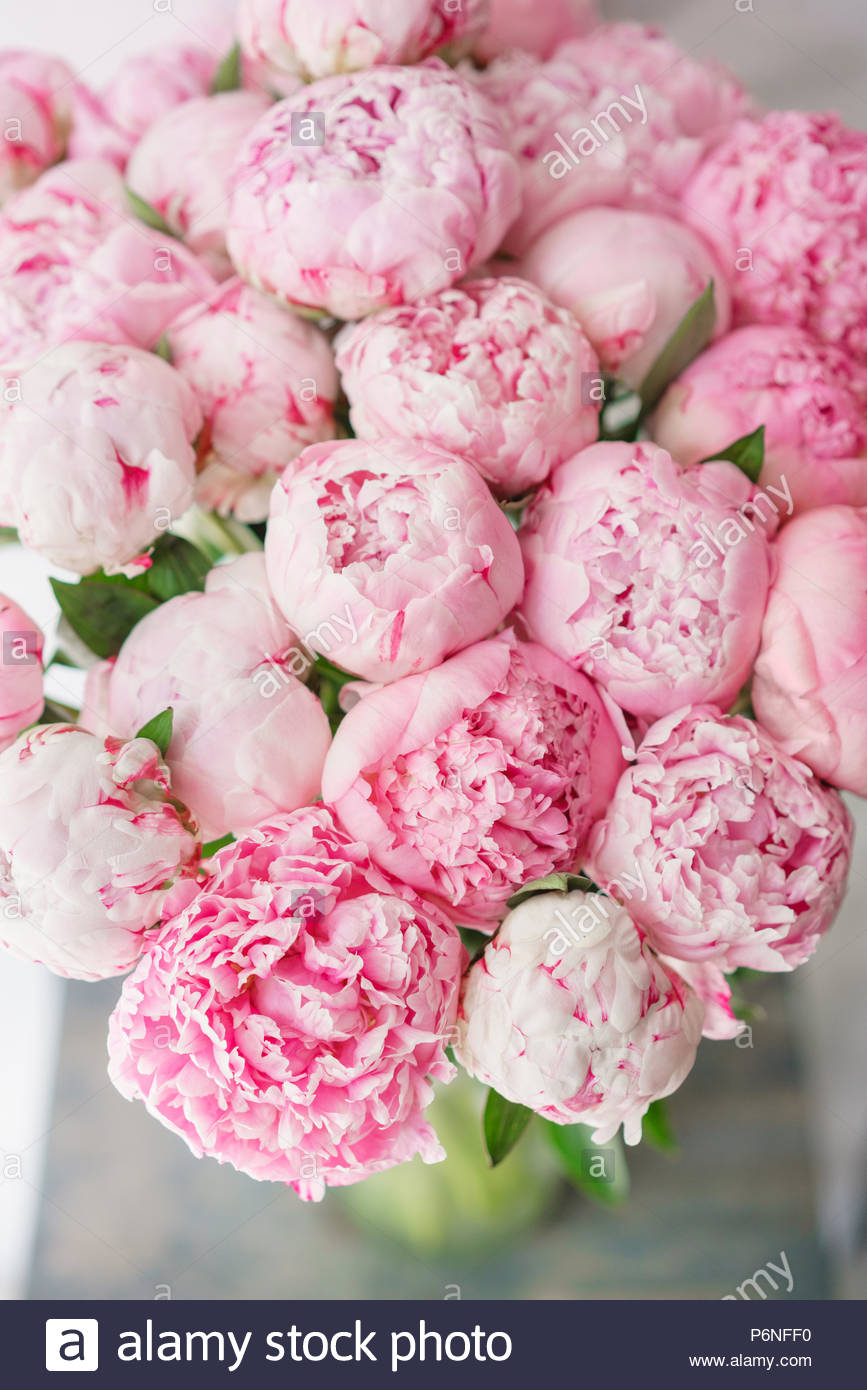 Beautiful Bouquet Of Pink Peonies Floral Position Daylight