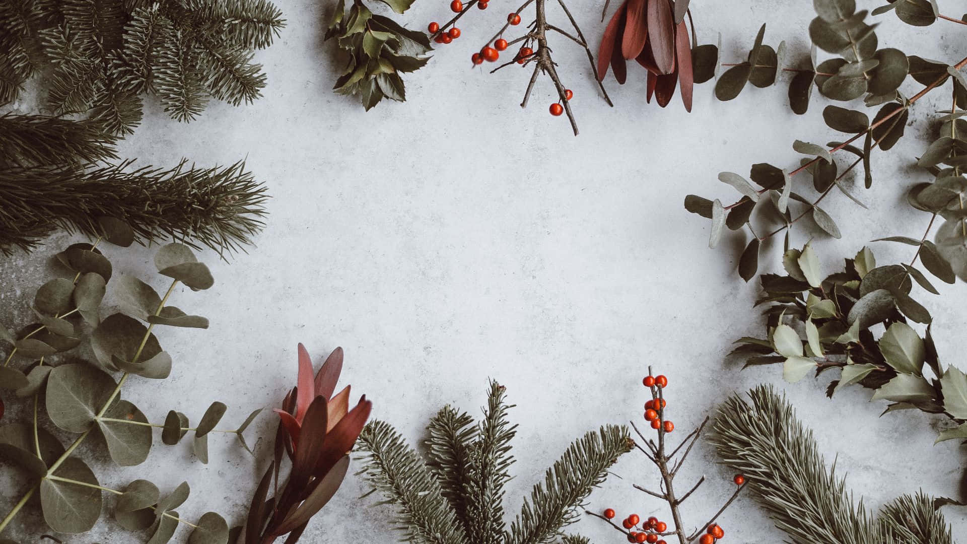 Christmas Vacation Background Wallpaper