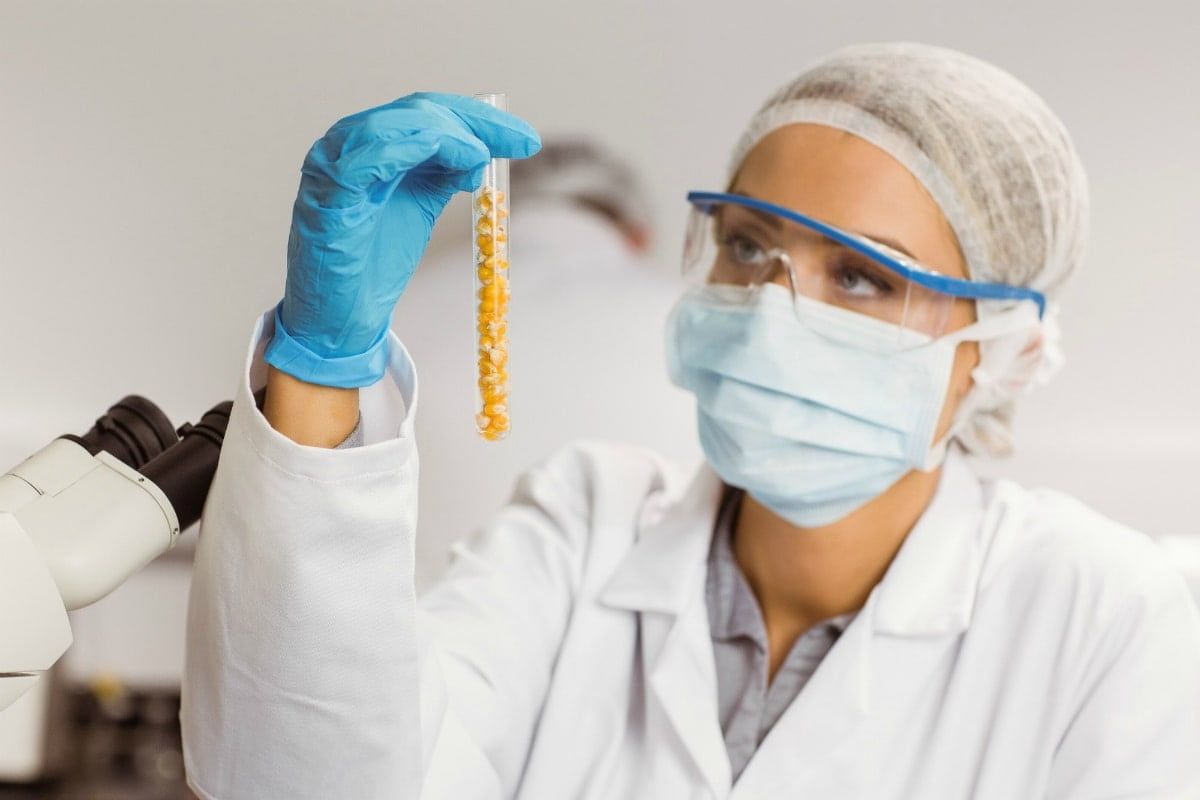 Novozymes Lab Associate Jobs Msc Candidates With A Background In