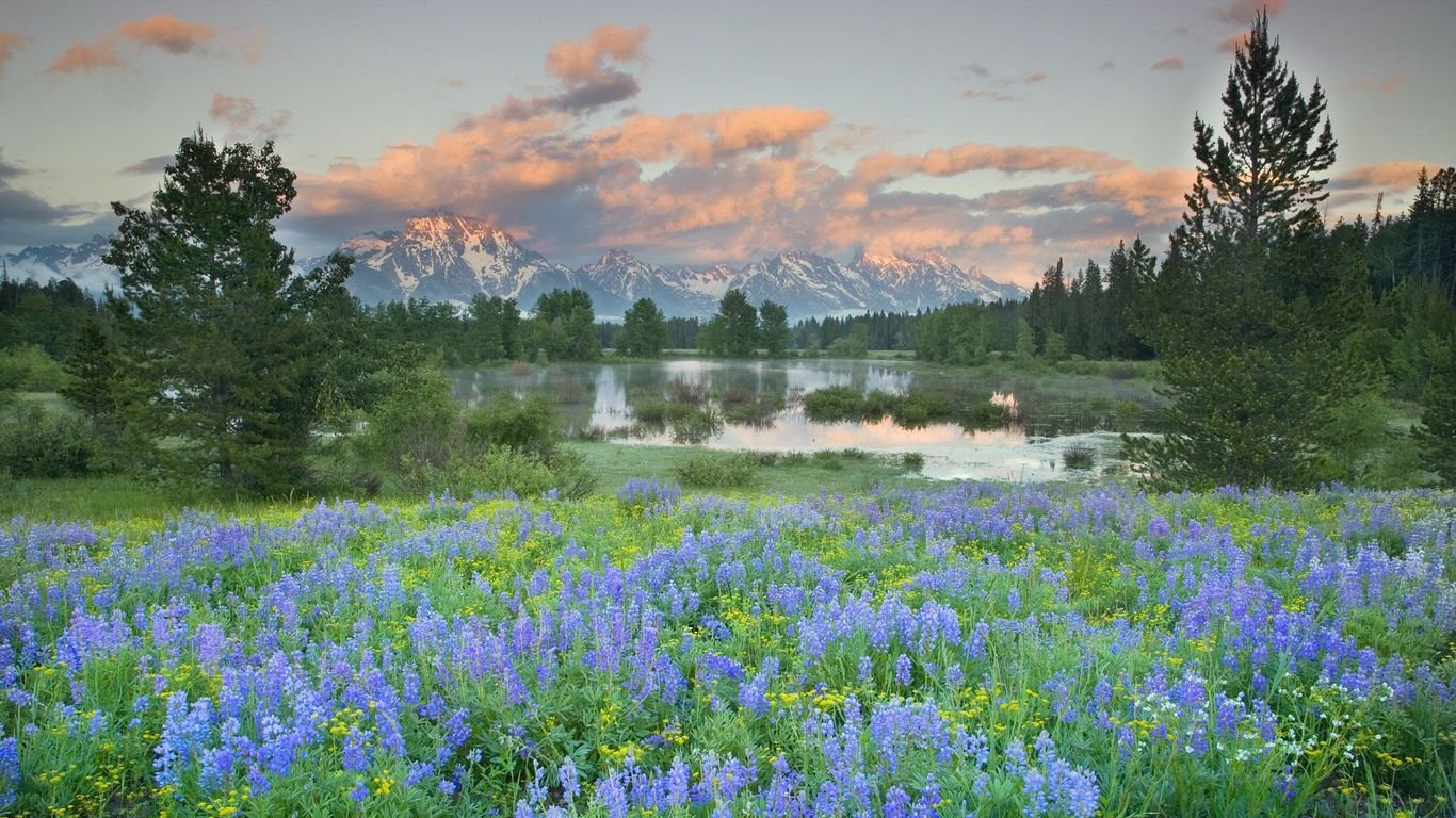 Grand Teton National Park in spring Widescreen Wallpaper   5648
