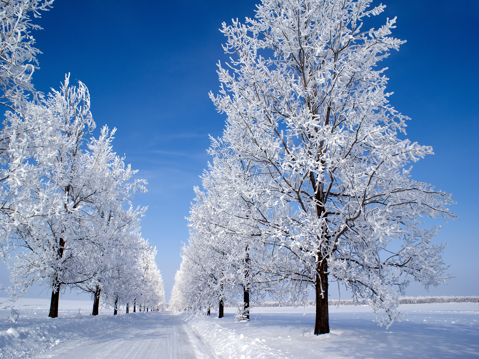 Country Snow Scenes Wallpaper WallpaperSafari