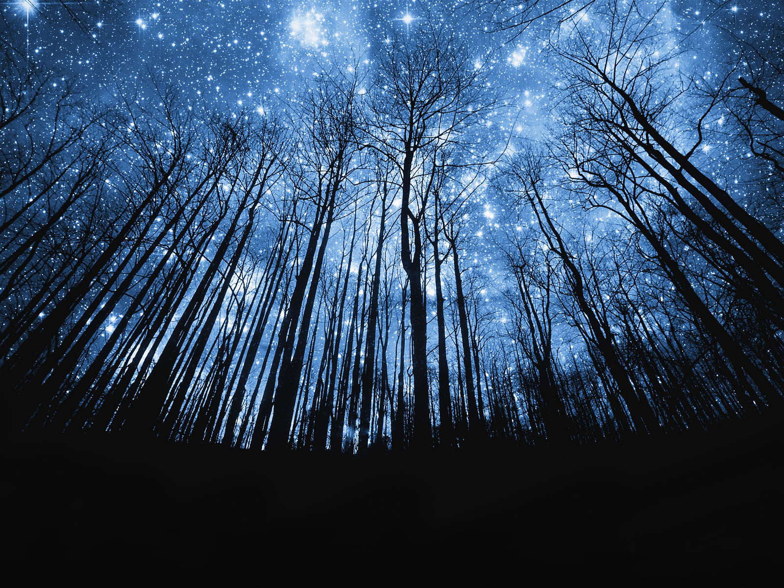 Starry Night HD Wallpaper