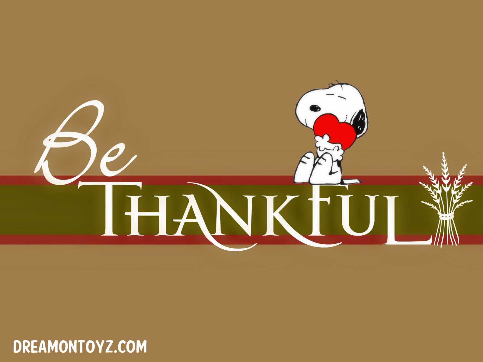  Pics Gifs Photographs Peanuts Snoopy Thanksgiving wallpapers