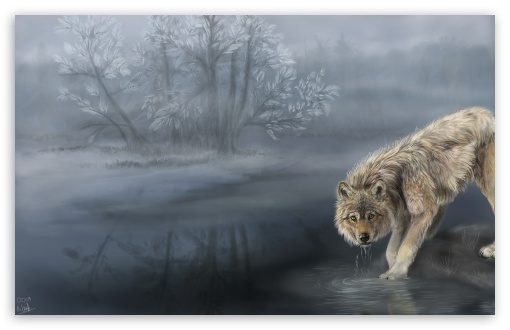 Wolf Drinking Water Painting HD Wallpaper For Wide