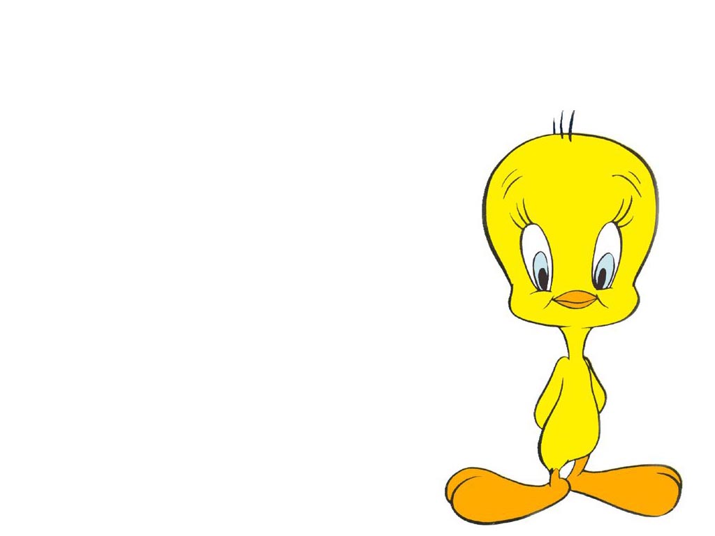 Free download Tweety Warner Brothers Animation Wallpaper 71684 [1024x768]  for your Desktop, Mobile & Tablet | Explore 78+ Tweety Cartoon Wallpaper | Tweety  Bird Wallpapers, Wallpapers Of Tweety, Tweety Pie Wallpaper