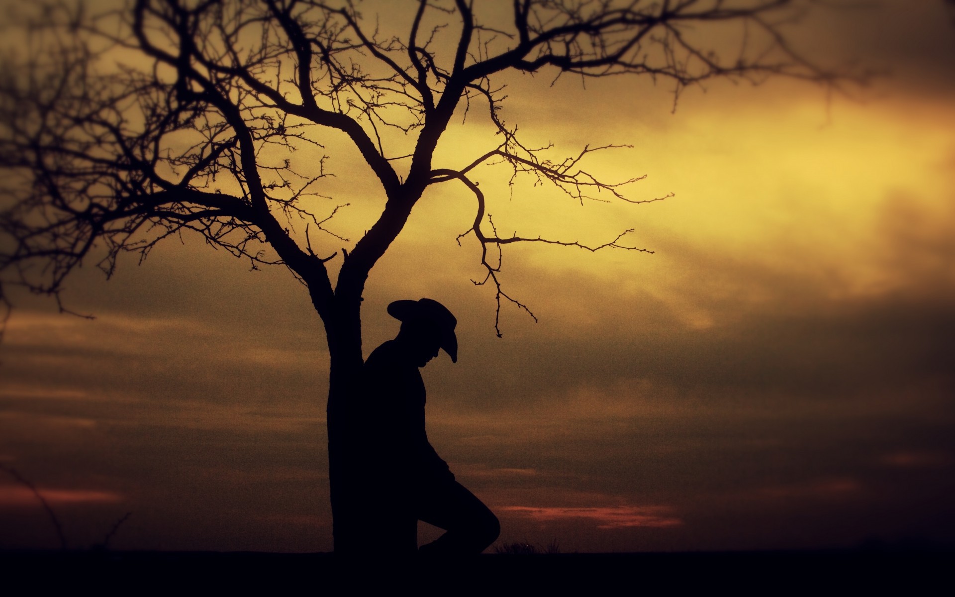 The Silhouette Of A Man In Tree Wallpaper And Image