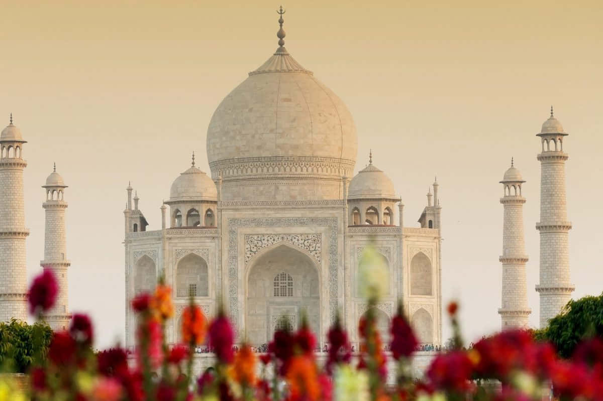 Travel And Tourism Wallpaper