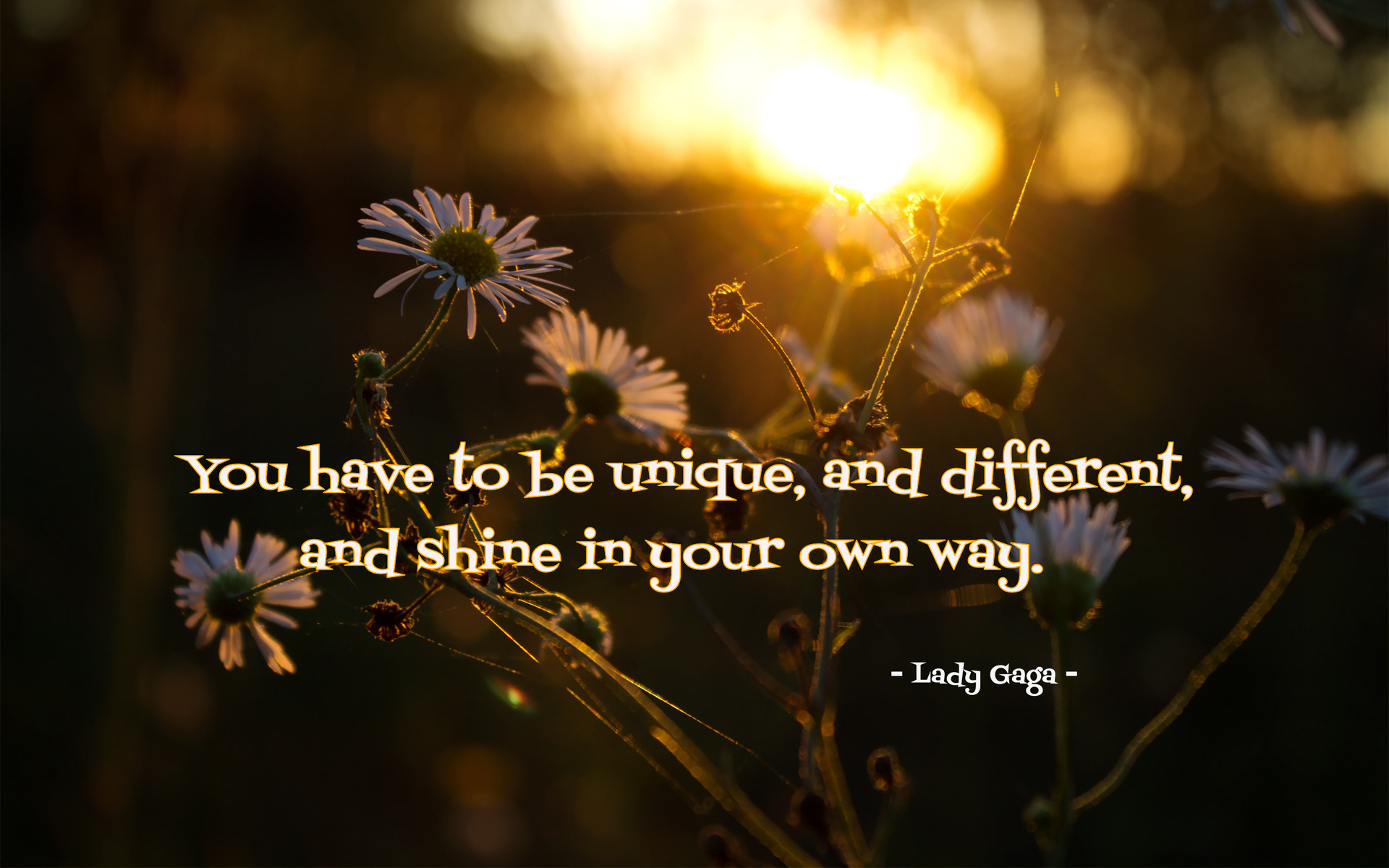 Motivational quote by Lady Gaga on a background of wildflowers at sunset: 