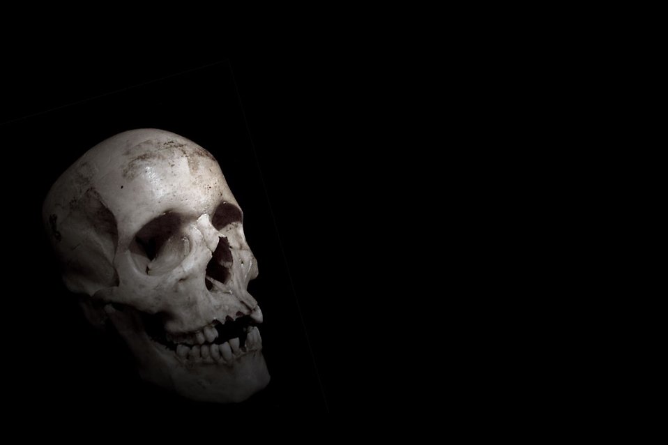 Skull Stock Photo A Human On Black Background