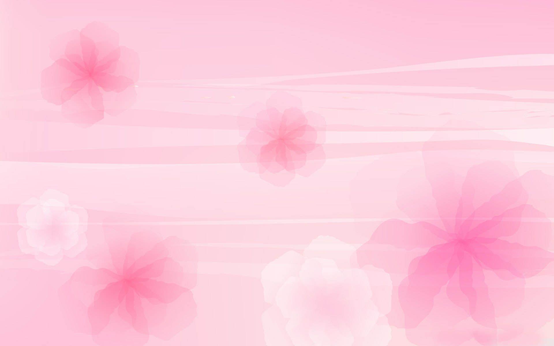 Light Pink Flower Wallpaper