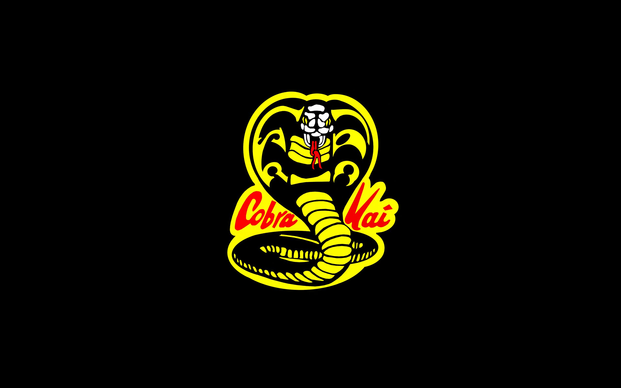 Free download Cobra Kai HD Wallpapers KoLPaPer Awesome Free HD Wallpapers  [2560x1600] for your Desktop, Mobile & Tablet | Explore 40+ Cobra Kai  Wallpapers | Shelby Cobra Wallpaper, Mustang Cobra Wallpaper, Cobra  Wallpaper